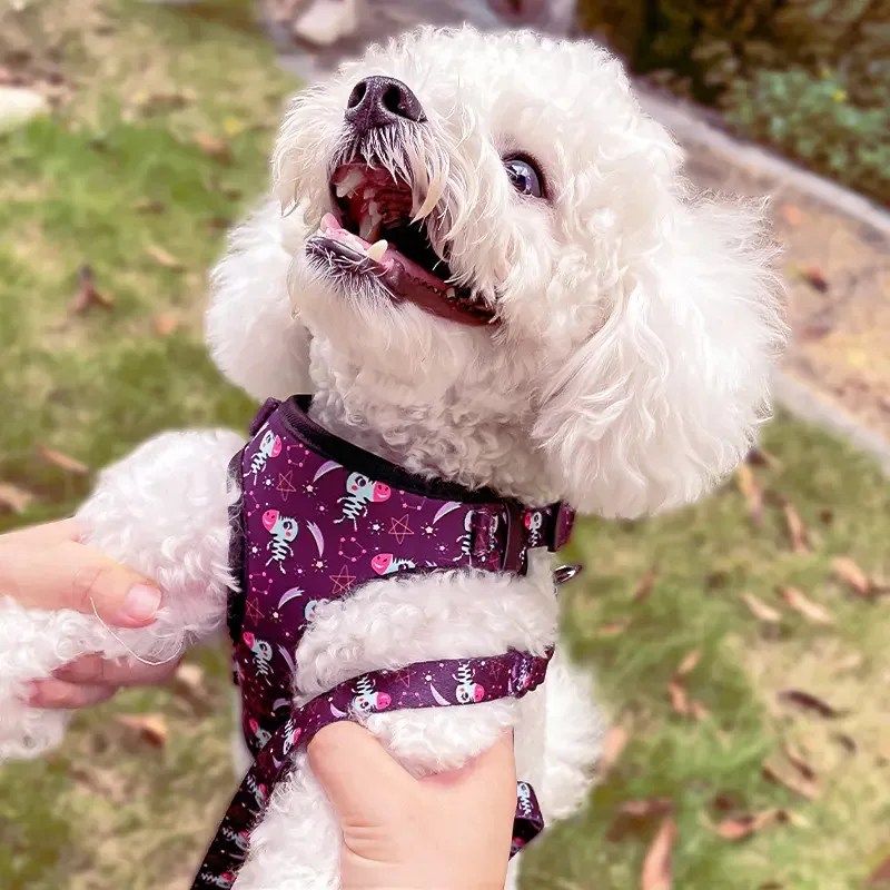 Best Design Dog Harness No Pull Innovative Mesh Soft Nylon Padded