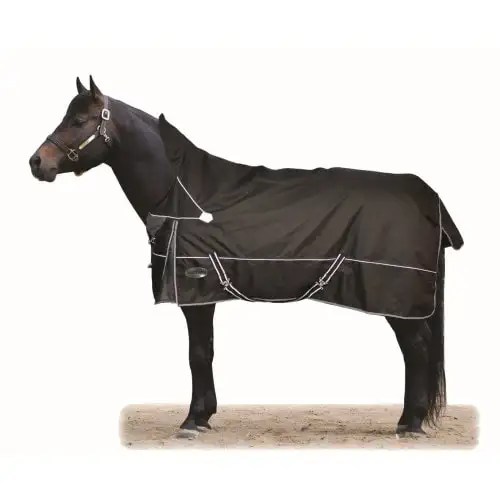 High Quality Equestrian Horse Exercise Turnout Elastic Fleece Horse