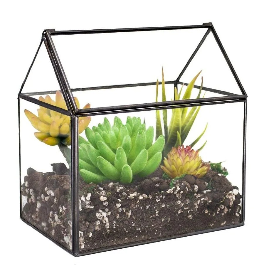 Indoor Decoration Multi Functional Usage Glass Terrarium Custom Shape