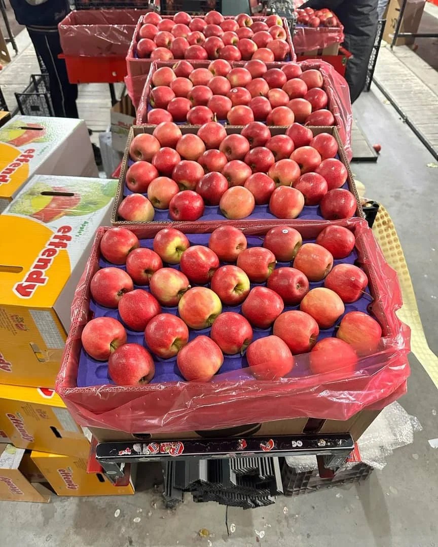 Fresh Apples Red Fuji Green Golden Delicious Apples Buy Cheap Price Supplier From Germany