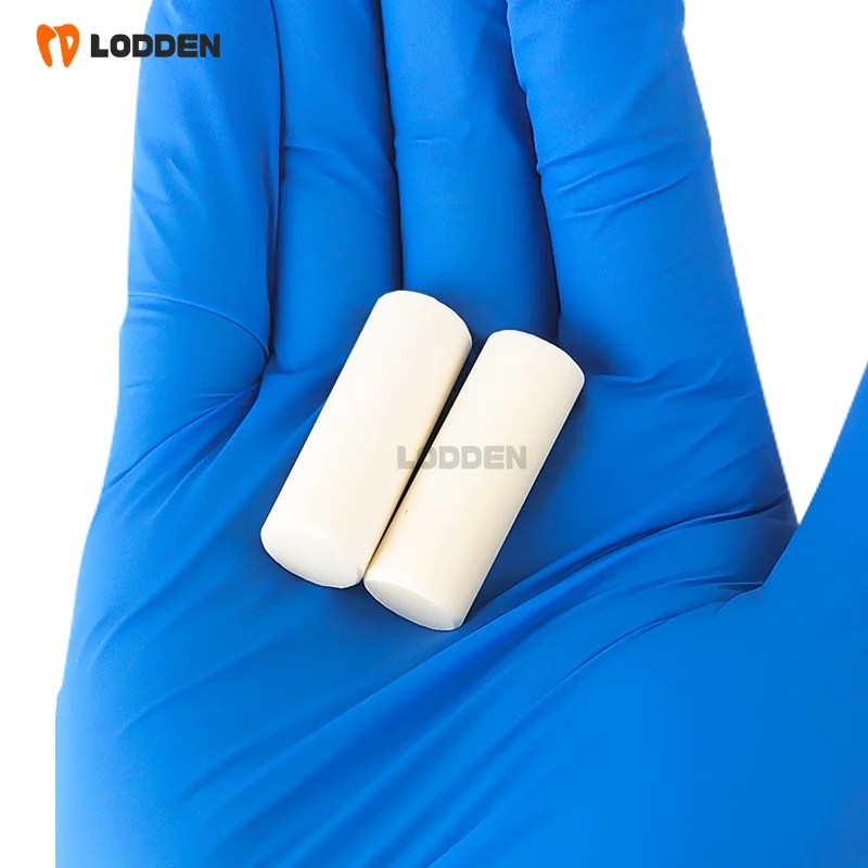 Lodden Dental Investment Press Rod Denture Casting Tool Cast Porcelain