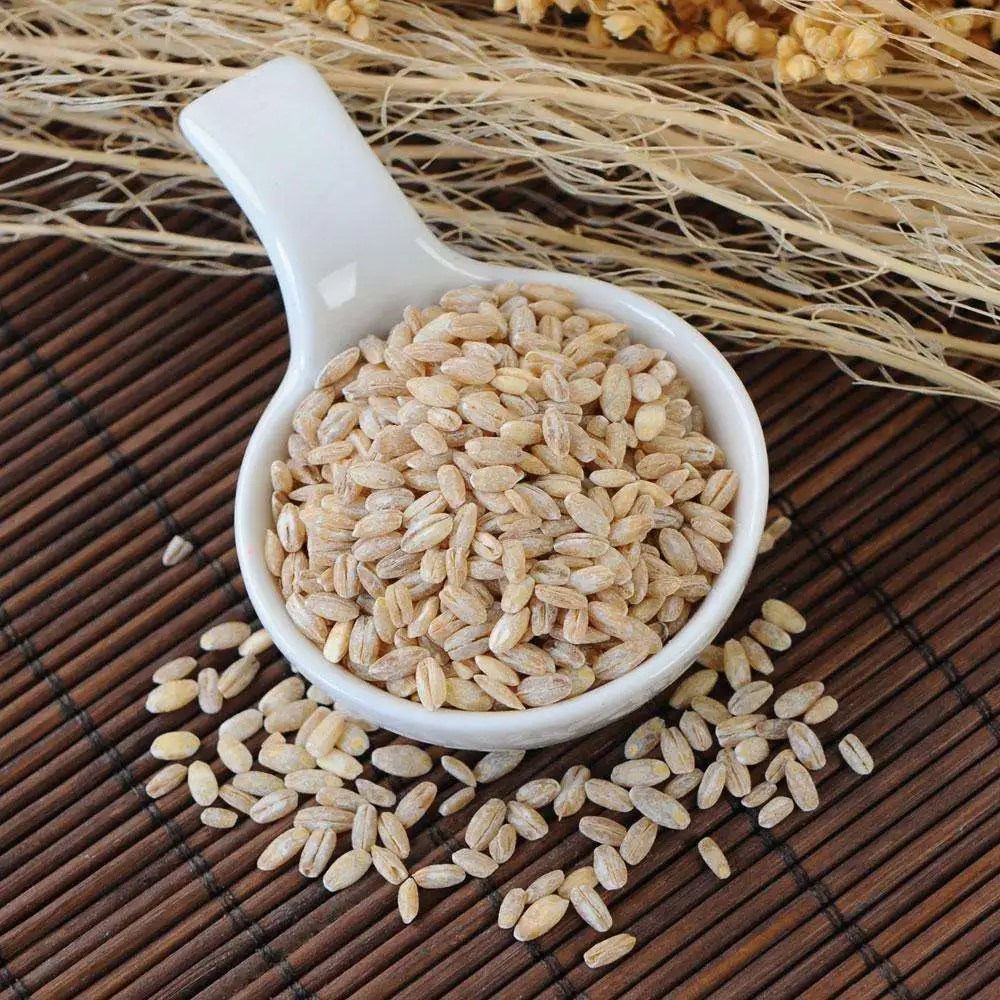 Wholesale Hulled Pearl Barley High Quality Wheat / Wheat Grain / Barley