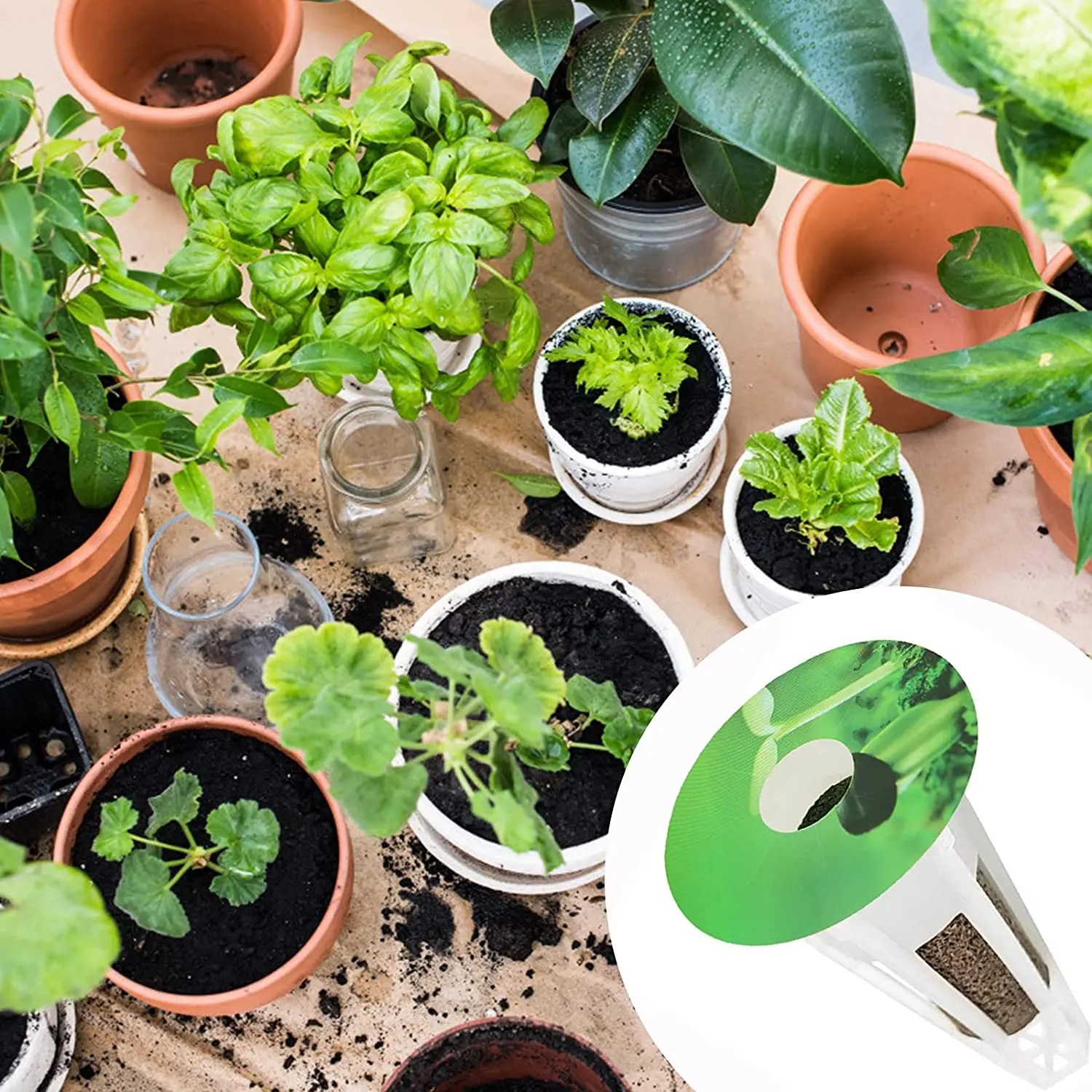 Growing Hydroponic Plant Sticker For Seedlings Garden Pods Labels For