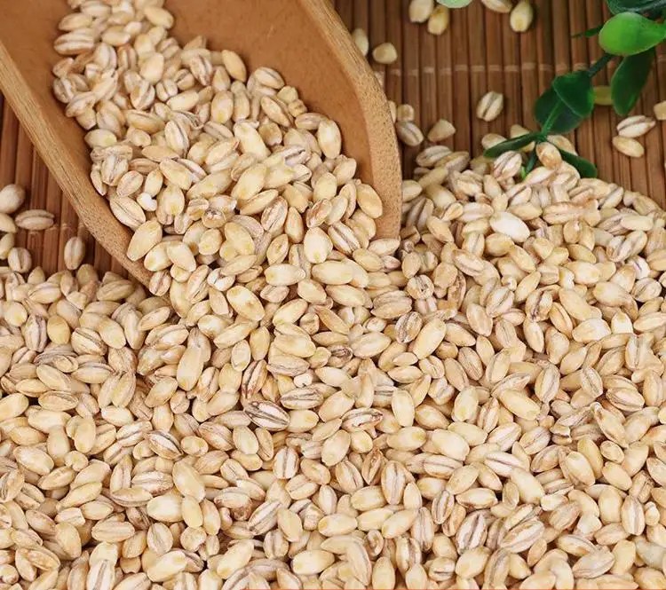 Wholesale Hulled Pearl Barley High Quality Wheat / Wheat Grain / Barley