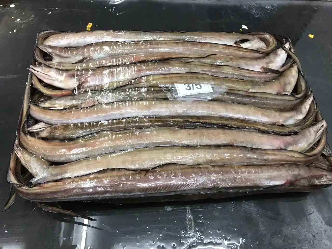 Frozen Eel Fish Whole Buy Eel Fish,Frozen Eel Fish,Price For Eel Fish