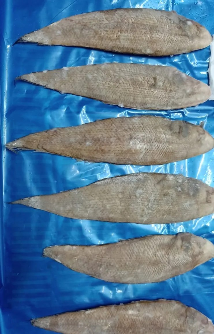 Top Quality Frozen Sole Fish Whole From India Buy Sole Fish Frozen Sole Fish,Sole Fish Price
