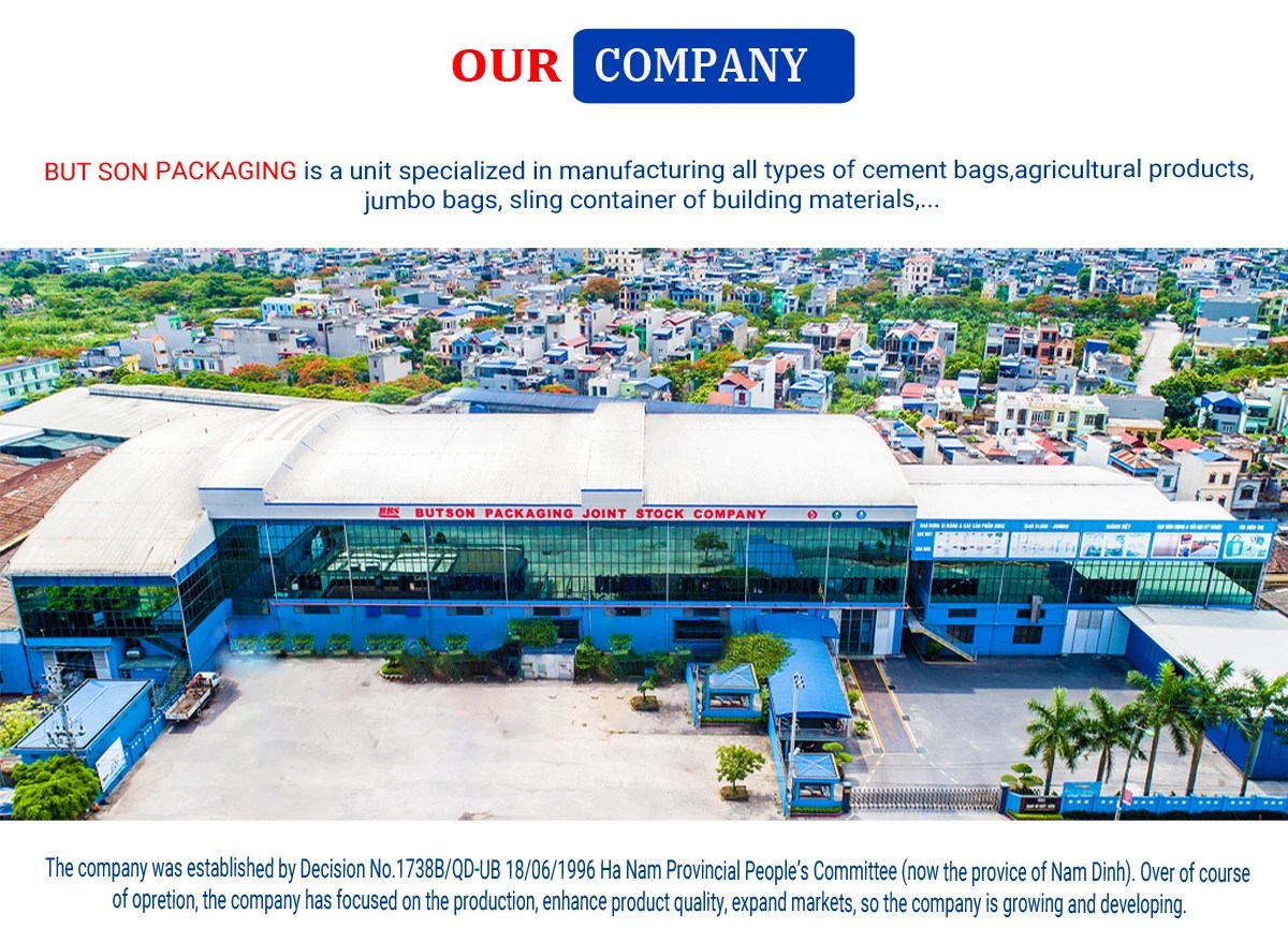 VICEM PACKAGING BUT SON JOINT STOCK COMPANY Cement Bag, Sling/ Jumbo Bag
