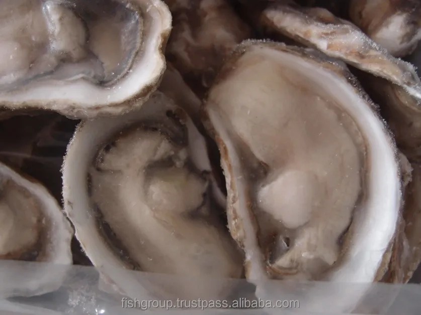 Kerang Jepang Kualitas Tinggi Gaya Kemasan Jumlah Besar Fitur Rak Asal