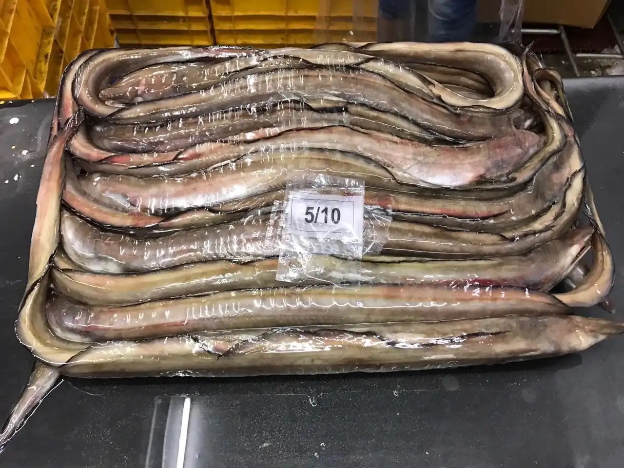 Frozen Eel Fish Whole Buy Eel Fish,Frozen Eel Fish,Price For Eel Fish