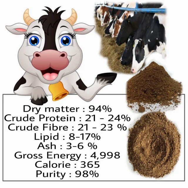 Layer Chicken Animal Feed Soya Bean Feed Palm Kernel Cake/meal/expeller