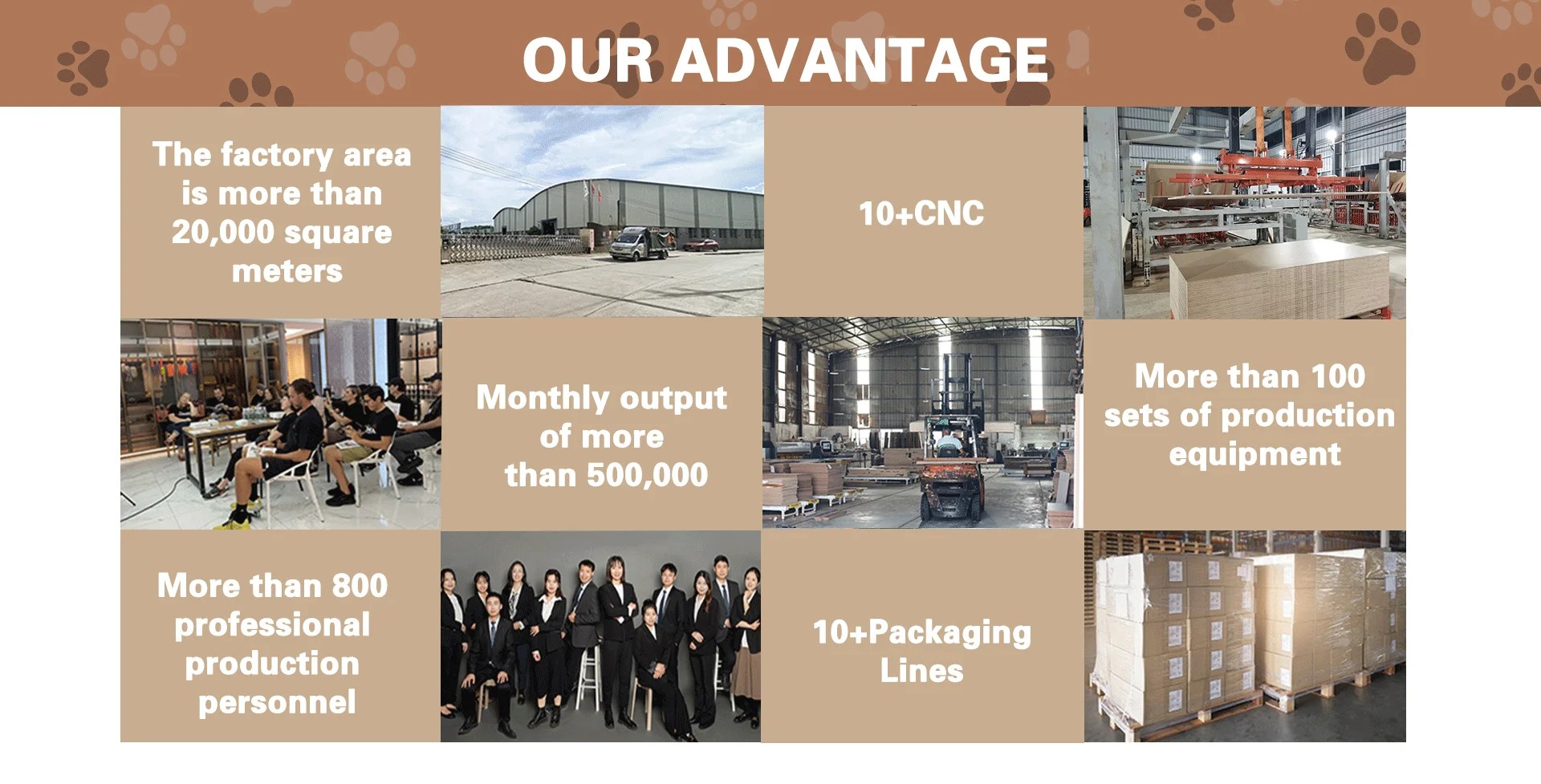 Company Overview Guangzhou Wowo Pet Products Co., Ltd.