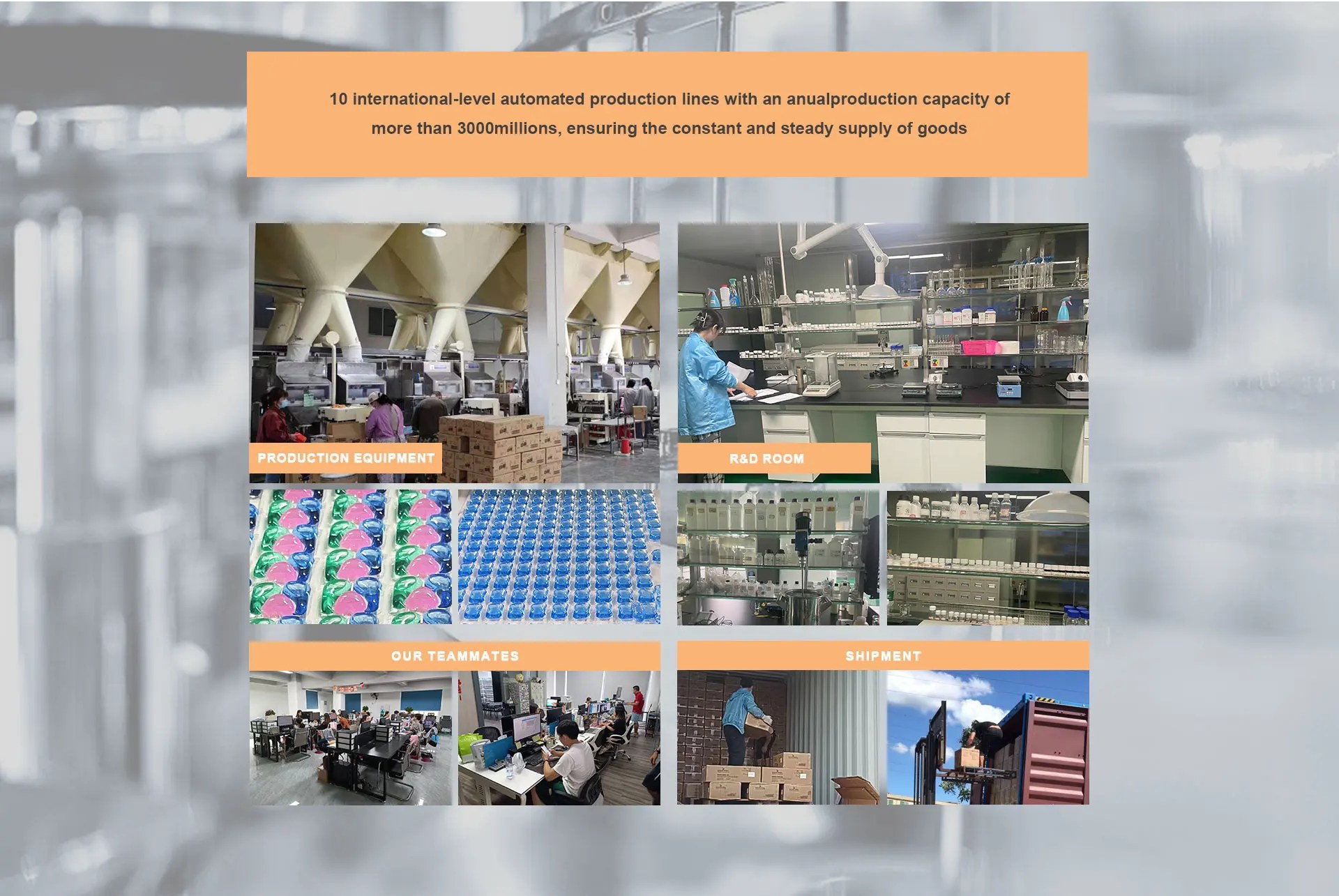Company Overview Jinyi International Trade (zhanjiang) Co., Ltd.