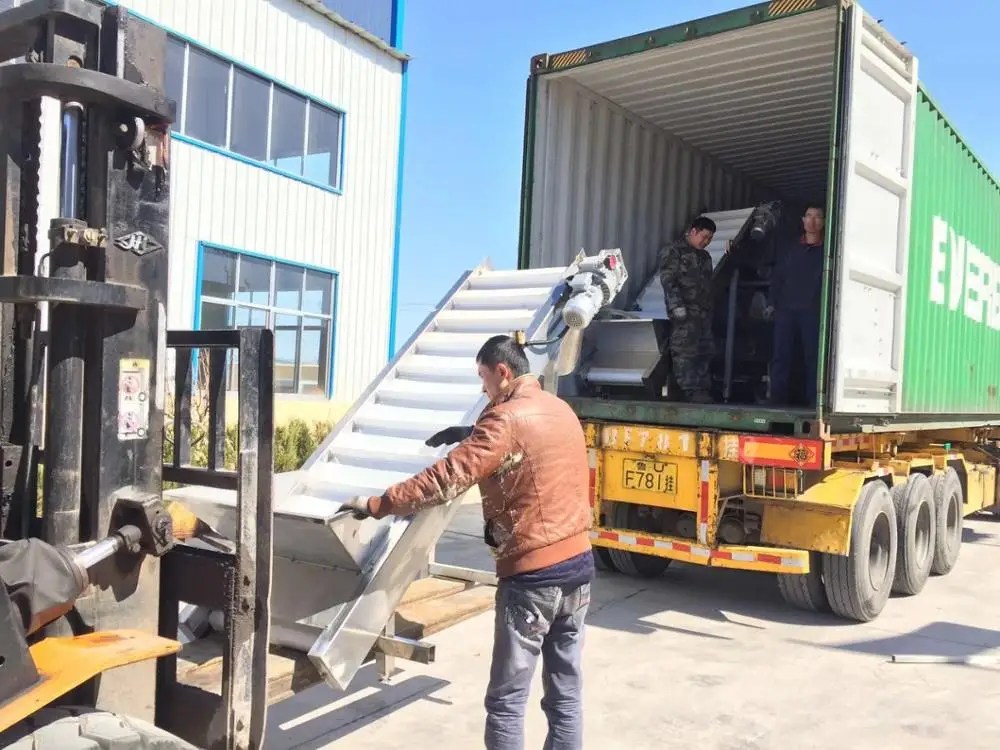 Potato French Fries Production Line Frozen Chips Making Machine Price