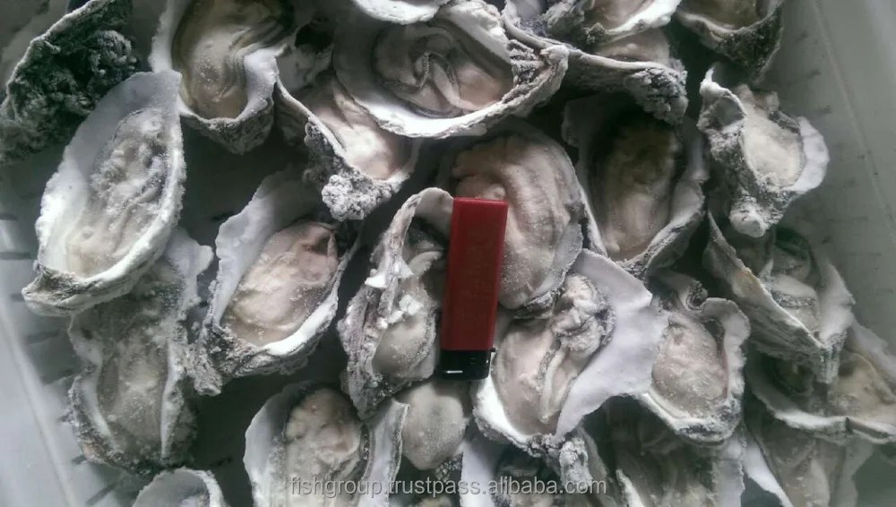 Kerang Jepang Kualitas Tinggi Gaya Kemasan Jumlah Besar Fitur Rak Asal