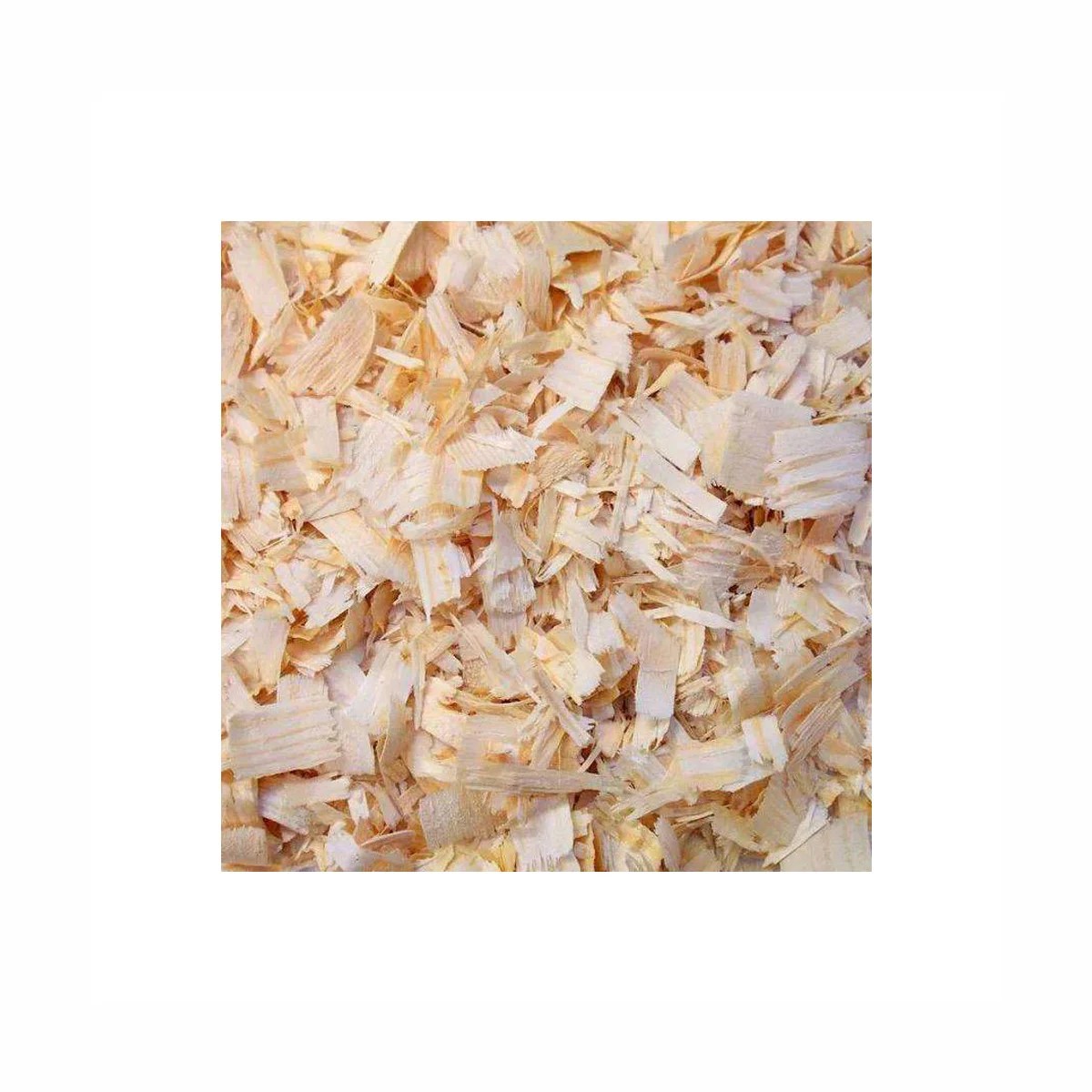 100 Natural Wood Shavings With Good Quality From Vietnam Buy 100