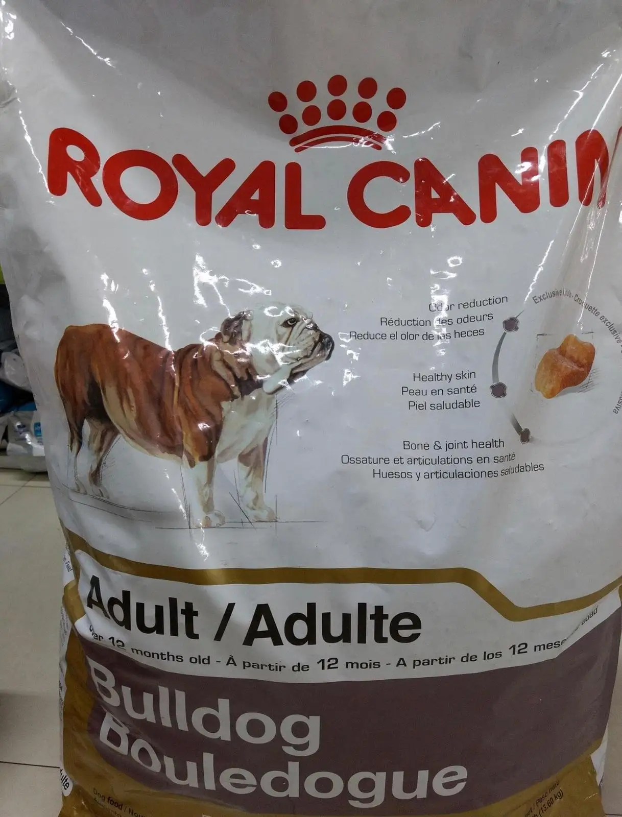 Royal Canin Dog Food Buy Canned Dog Food,Royal Canin,Retriever Brand Dog Food Product on