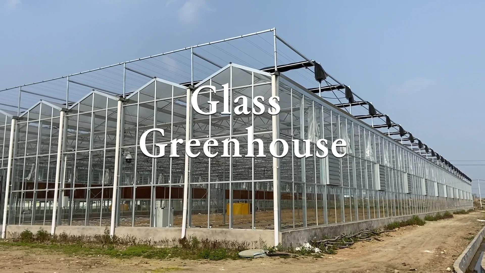 Multispan Greenhouse Modern Industrial Multispan Venlo Multispan Glass