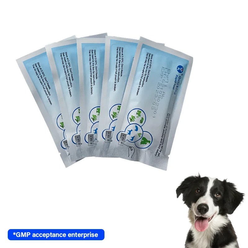 Do Dogs Really Need Ehrlichia Test