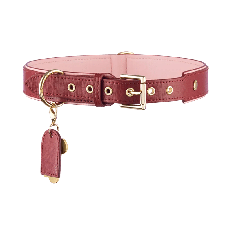 Aesthetic Cute Dog Collars ubicaciondepersonas.cdmx.gob.mx