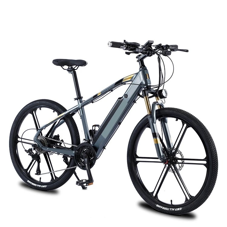 36v 250w Pedal Assist E Power Battery Cycle 48v 350w Man Electric