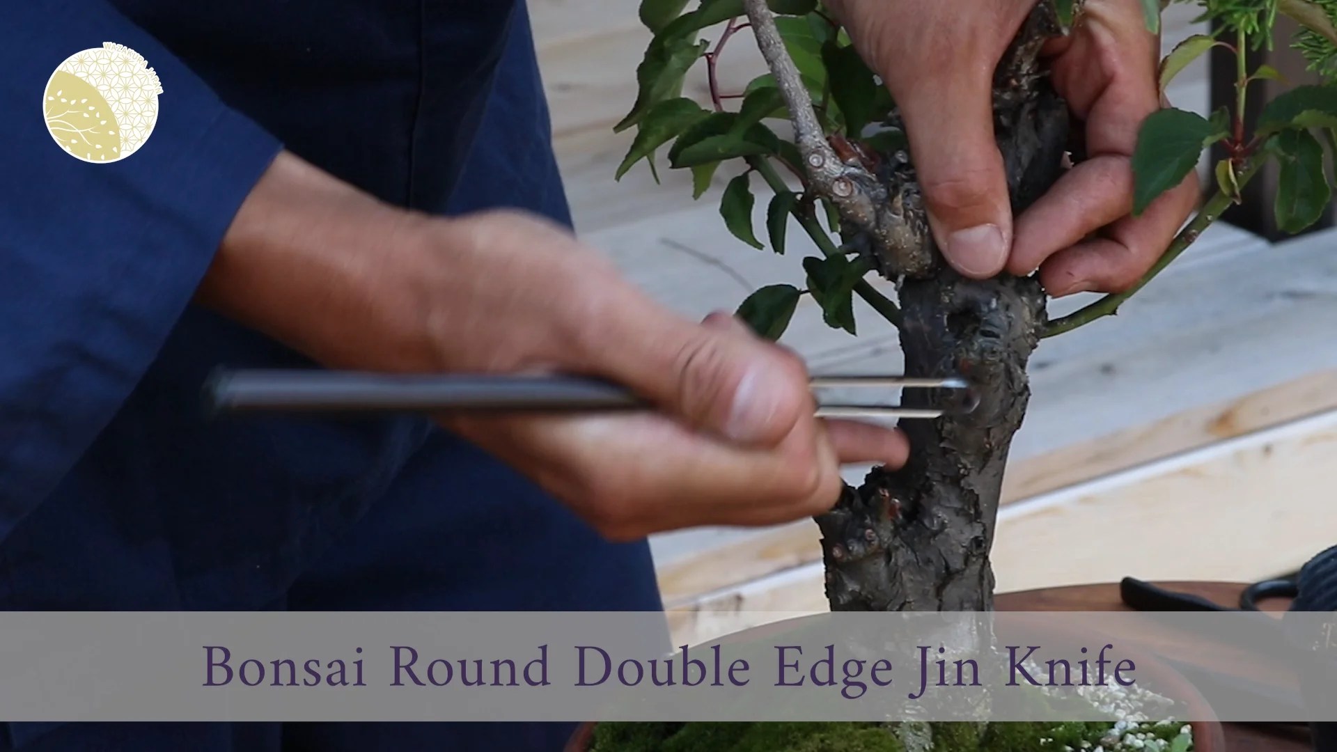 Bonsai Beginner Woodworking For Wood Carving Tools Set Knife Buy Wood