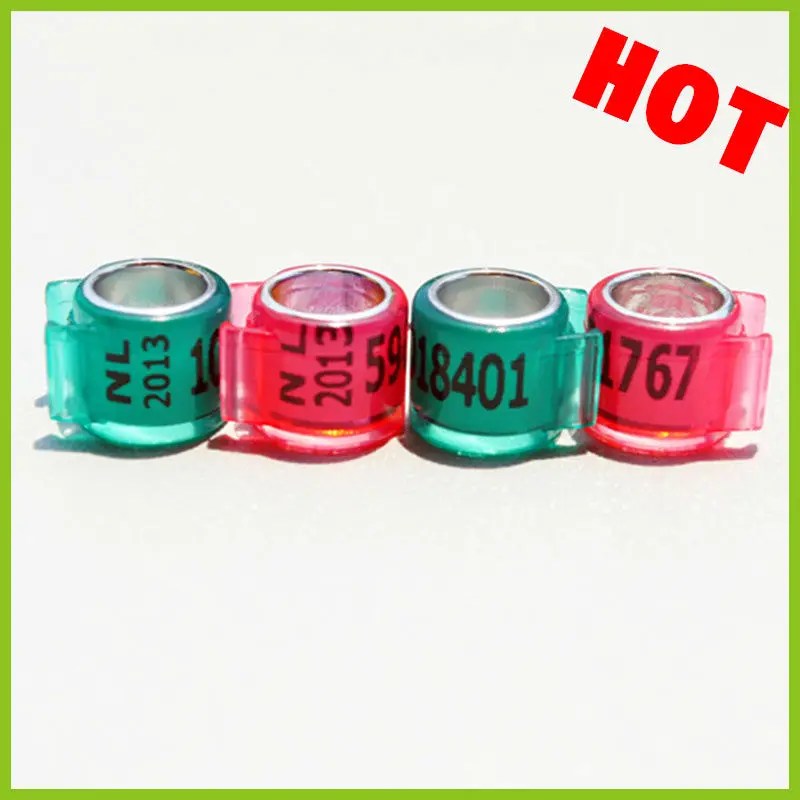 Klip Cincin Merpati Balap Nl 2015,Cincin Merpati - Buy Racing Pigeon Cincin Klip Pigeon Cincin Mewah Merpati Cincin Product On Alibaba.com