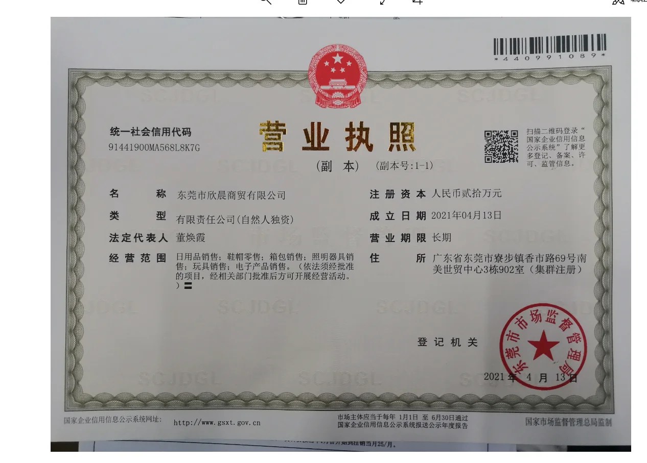 Company Overview Dongguan Xinchen Trading Co.,ltd.