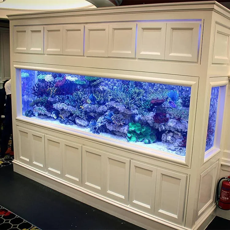 300 Gallon* Glass Aquarium ubicaciondepersonas.cdmx.gob.mx