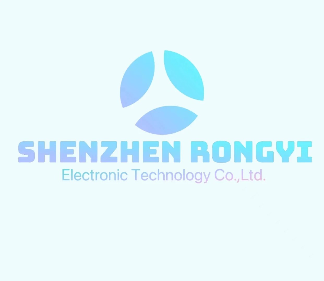 Company Overview Shenzhen Rongyi Electronic Technology Co., Ltd.