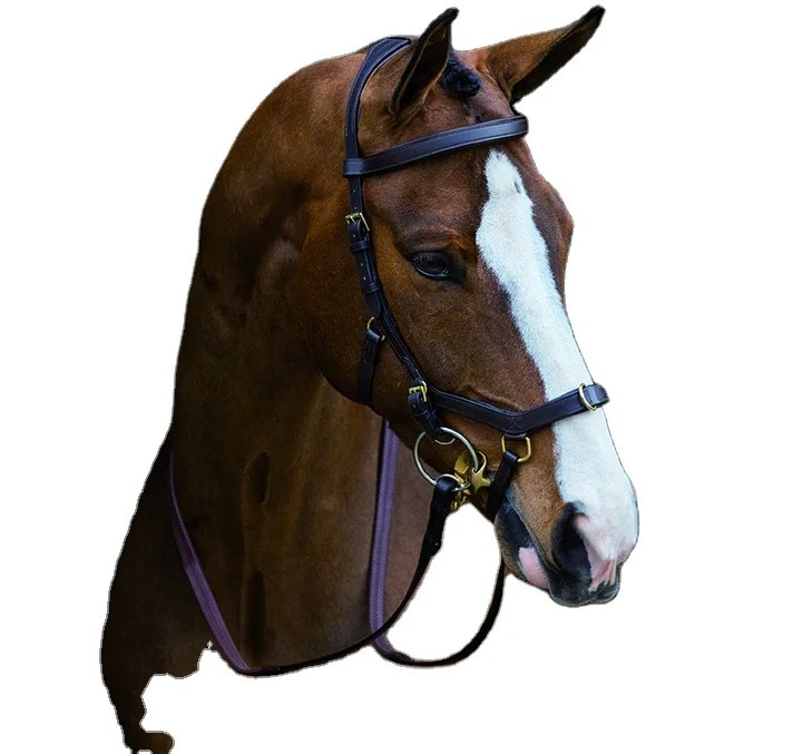 Micklem Horse Bridle Multi Bricklem Horse Bridglem - Buy Horseware Irlandia Rambo Micklem Asli Kompetisi Bridle,Horseware Irlandia Rambo Micklem Diamante Kompetisi Bridle,Horseware Rambo Micklem Deluxe Kompetisi Bridle Snack Bar Bridle Product On