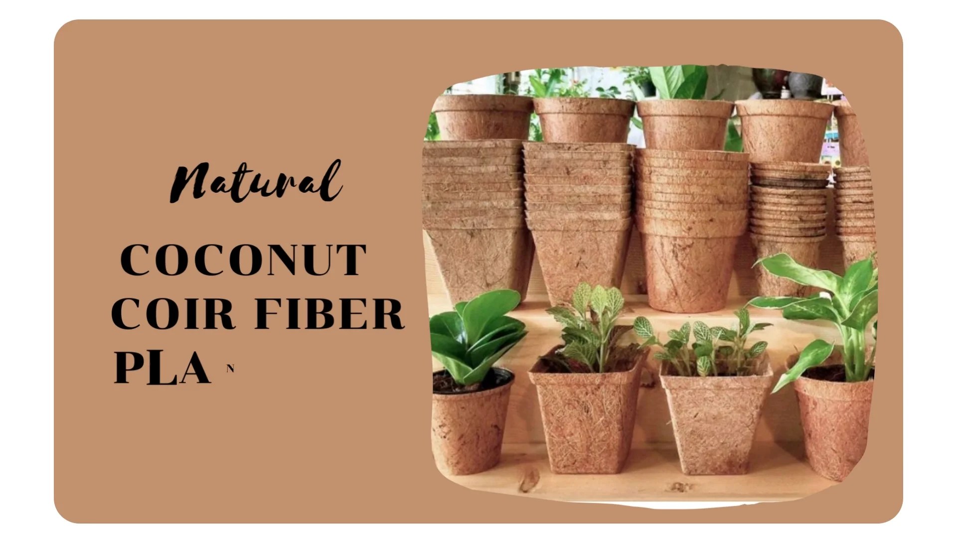 Wholesale 2023 Natural Coconut Fiber Coir Pot/ Coconut Fiber Planting