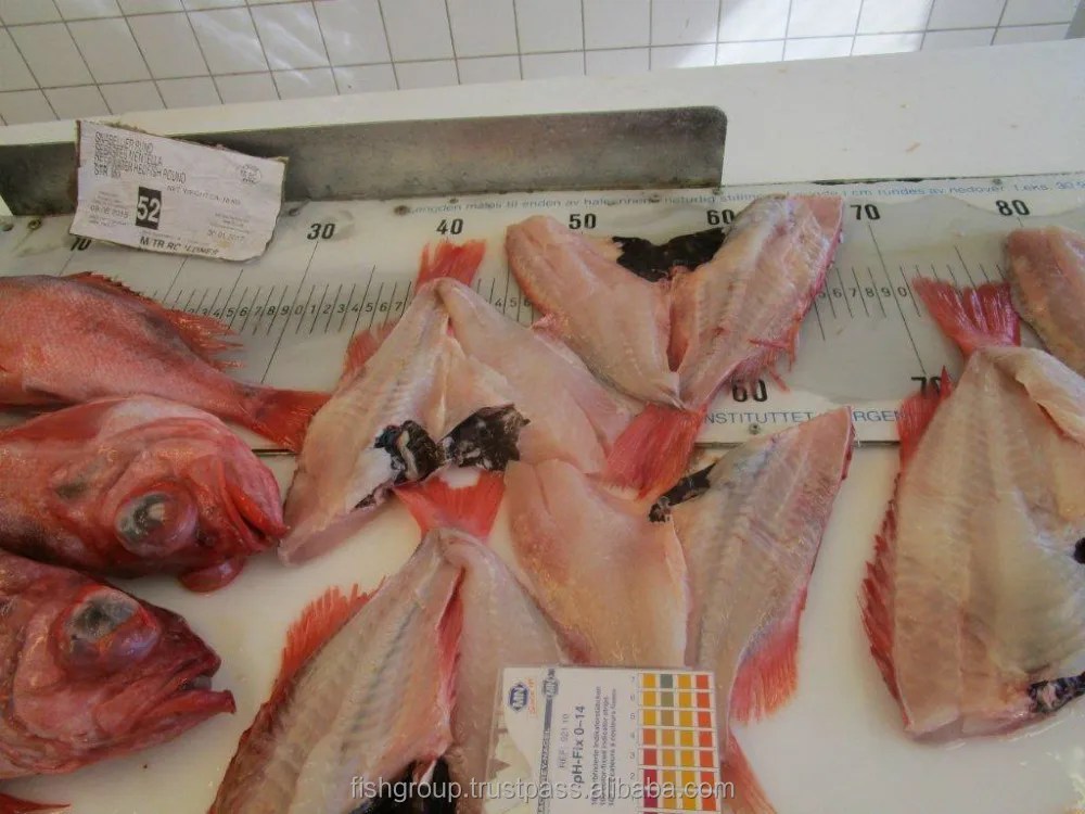 Premium Quality Fresh Organic Low Sodium Low Transfat Frozen Whole Redfish From Singapore Buy