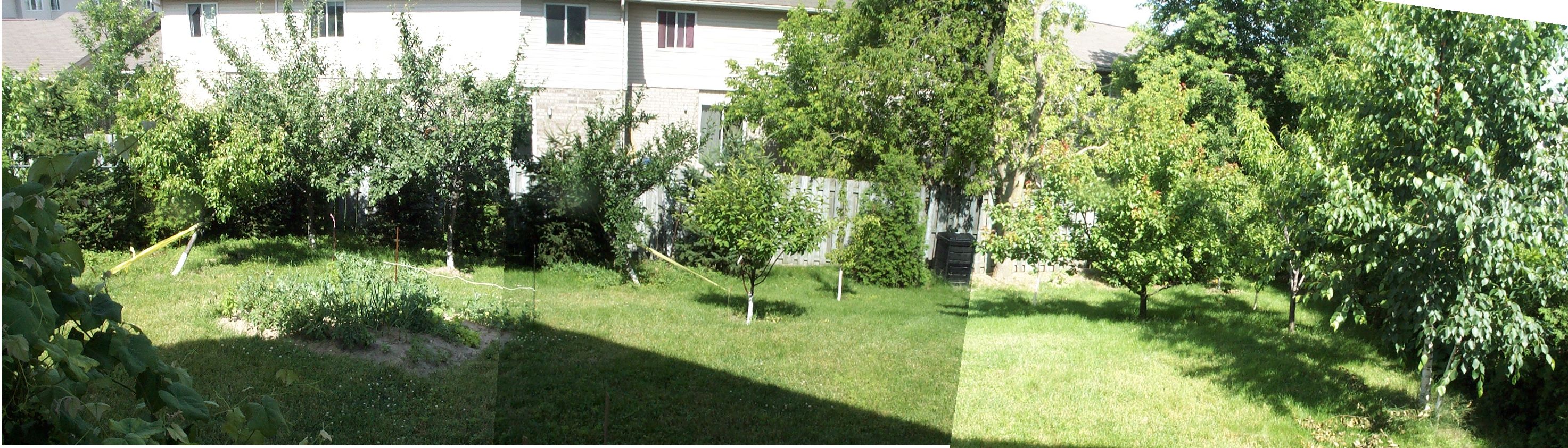 Fruit Trees Home Gardening Apple, Cherry, Pear, Plum How Far Apart