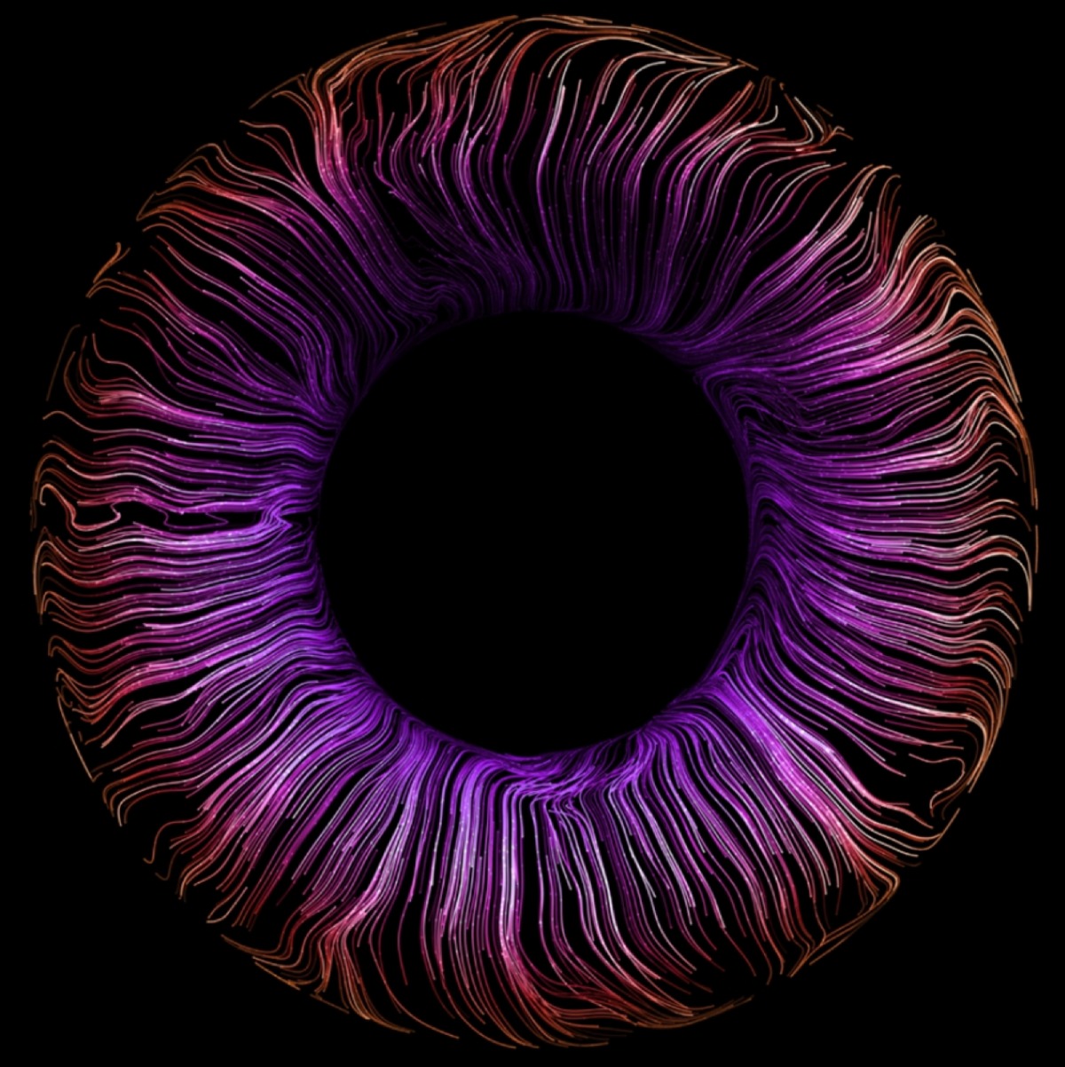 Scale with Cyrus Digital