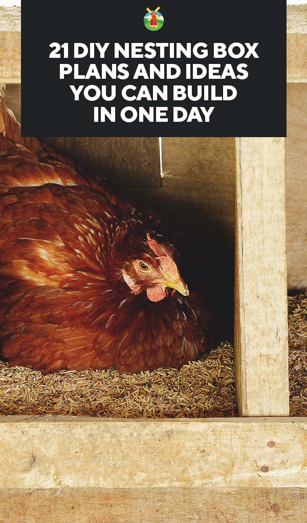 21 DIY Nesting Box Plans and Ideas You Can Build in One Day » Golden