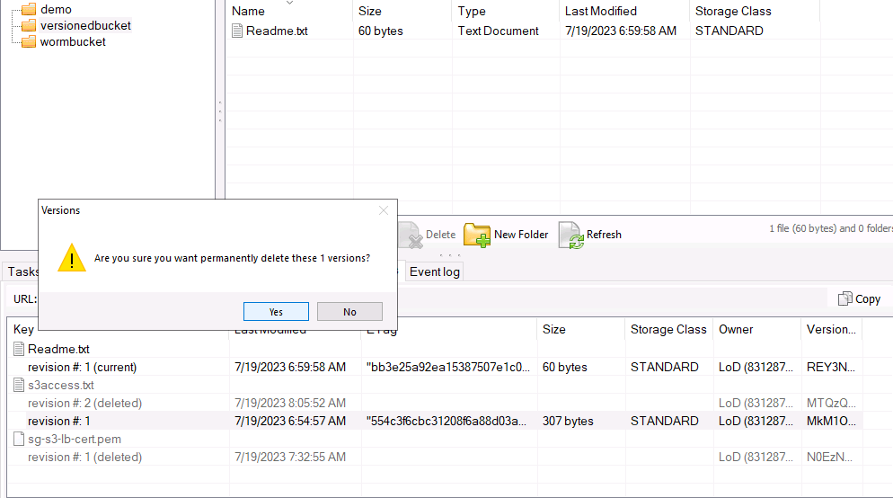 Comparison between S3 object versioning and WORM with NetApp