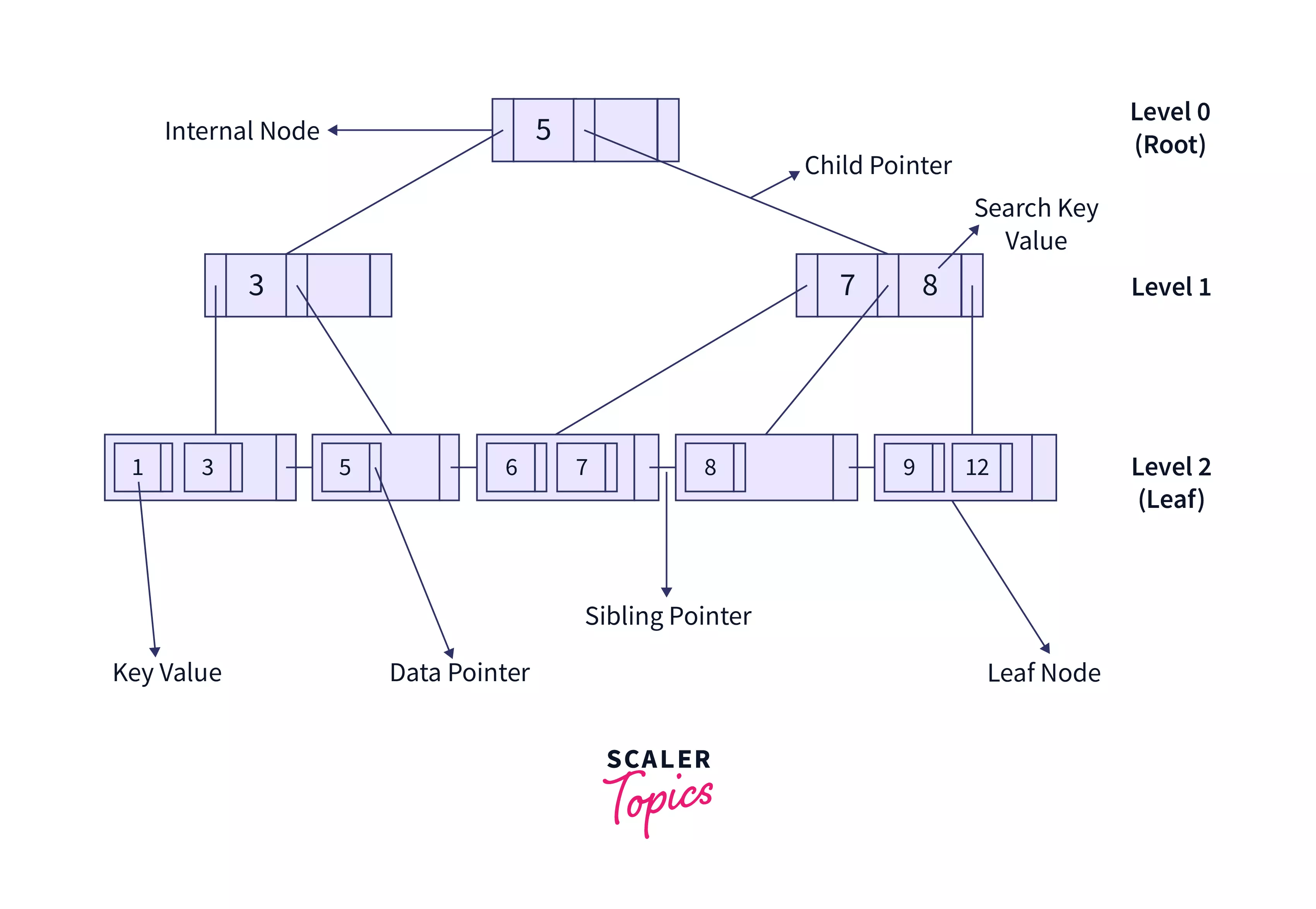 Glossary of DBMS Scaler Topics