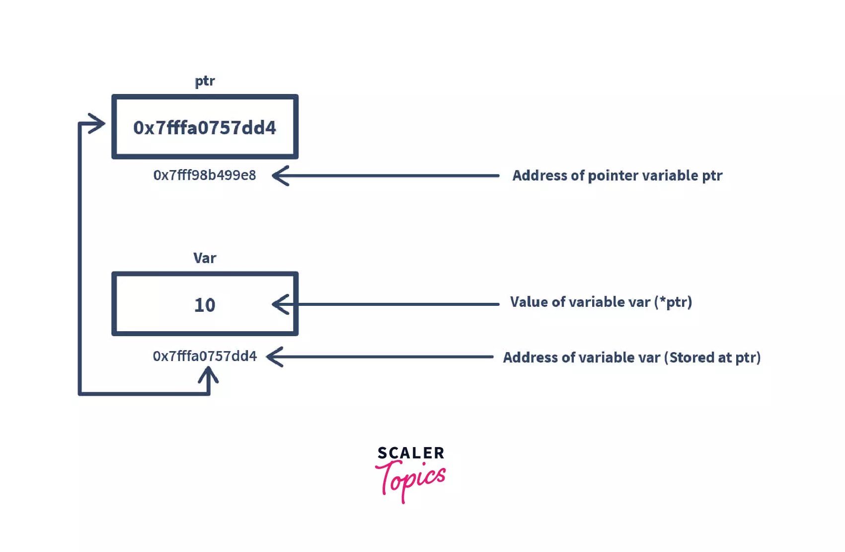 Java pass object by value