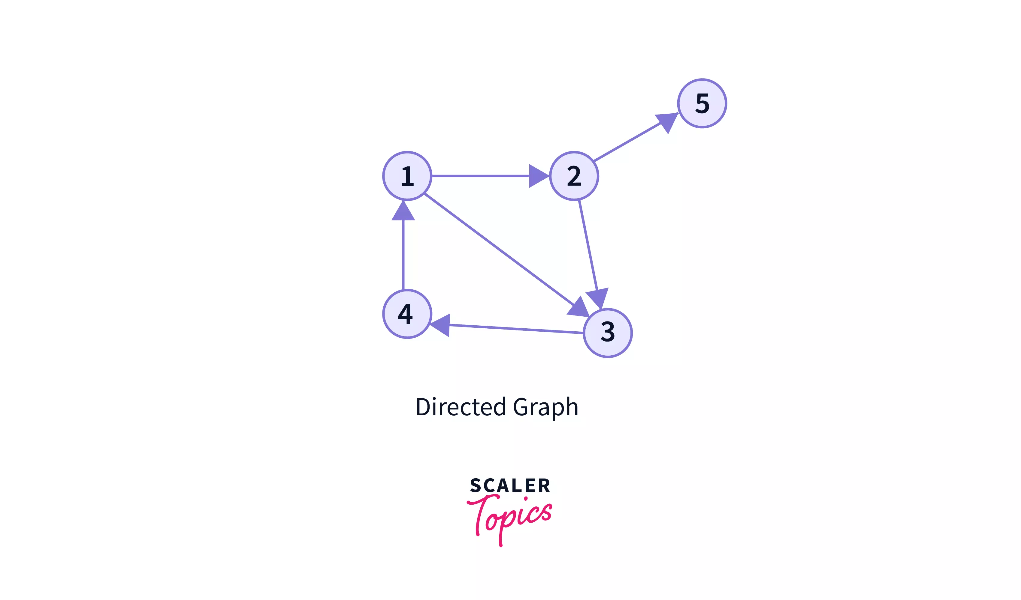 Graph Data Structure Scaler Topics