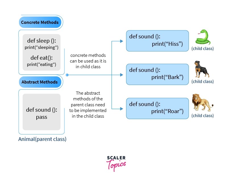 Data Abstraction in Python Scaler Topics