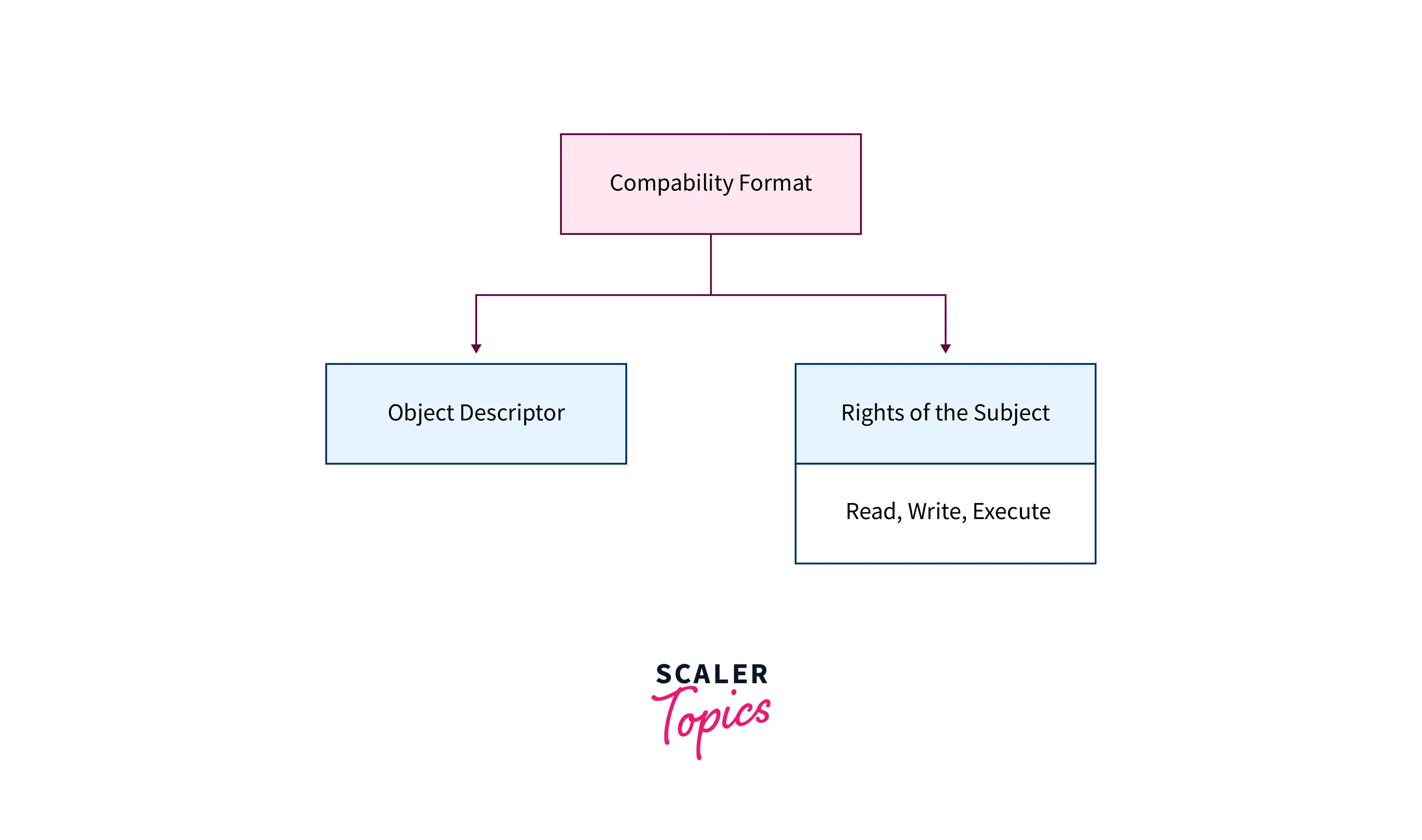 Access Matrix in OS (Operating System) Scaler Topics