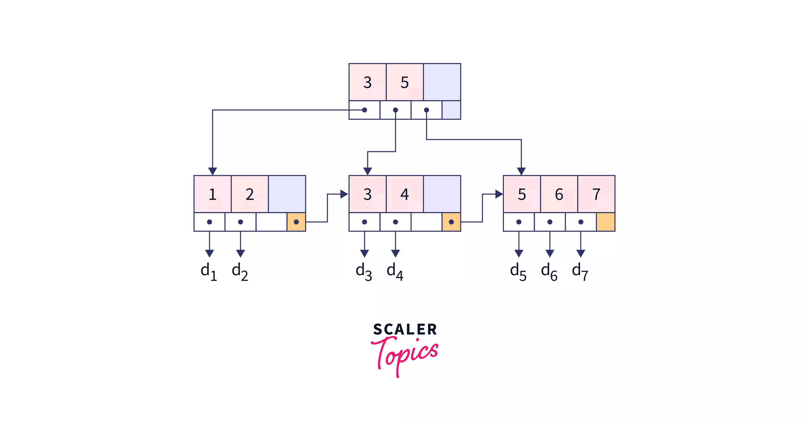 Difference between B Tree and B+ Tree Scaler Topics