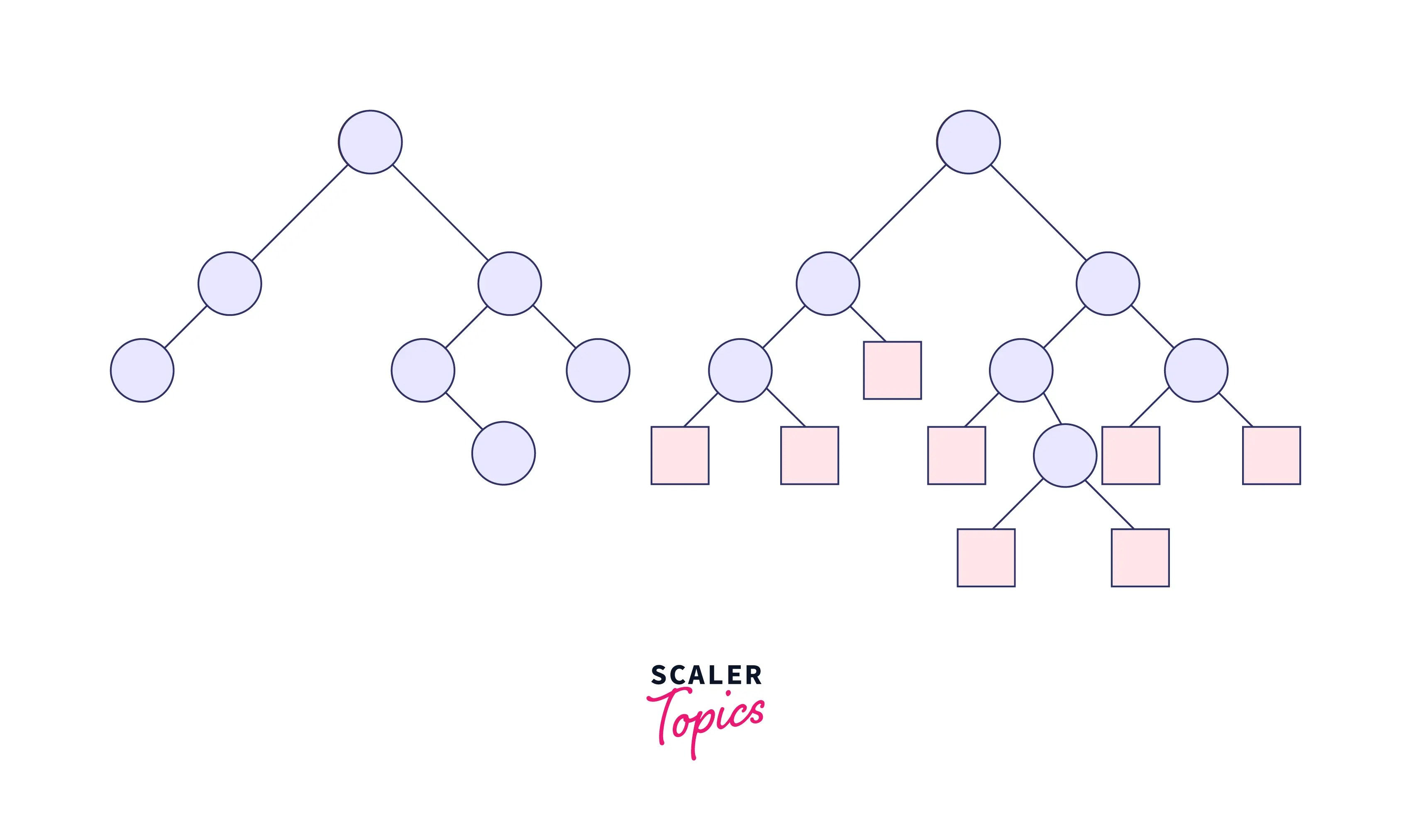 Types of Binary Tree Scaler Topics