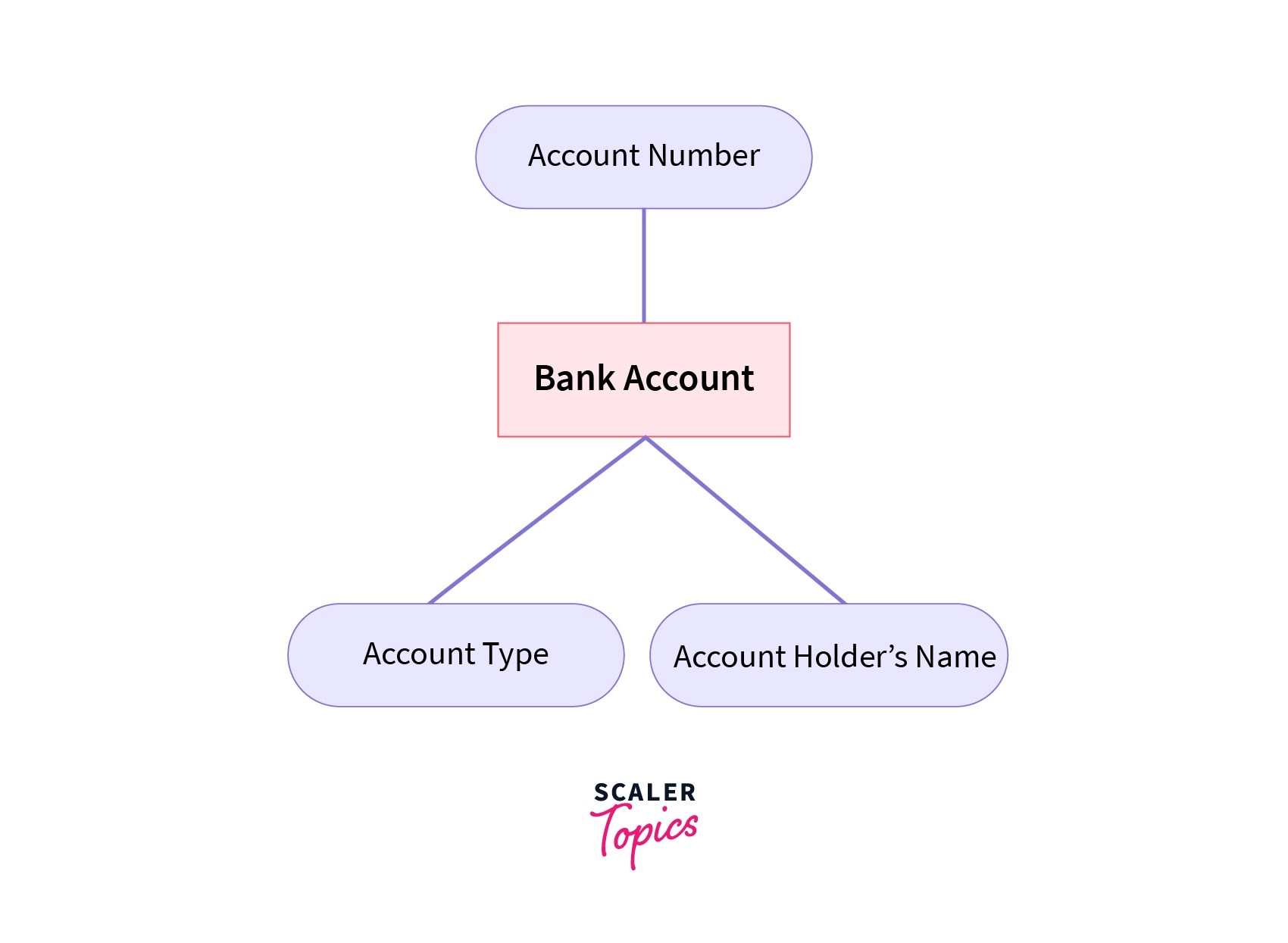 Entity in DBMS Scaler Topics