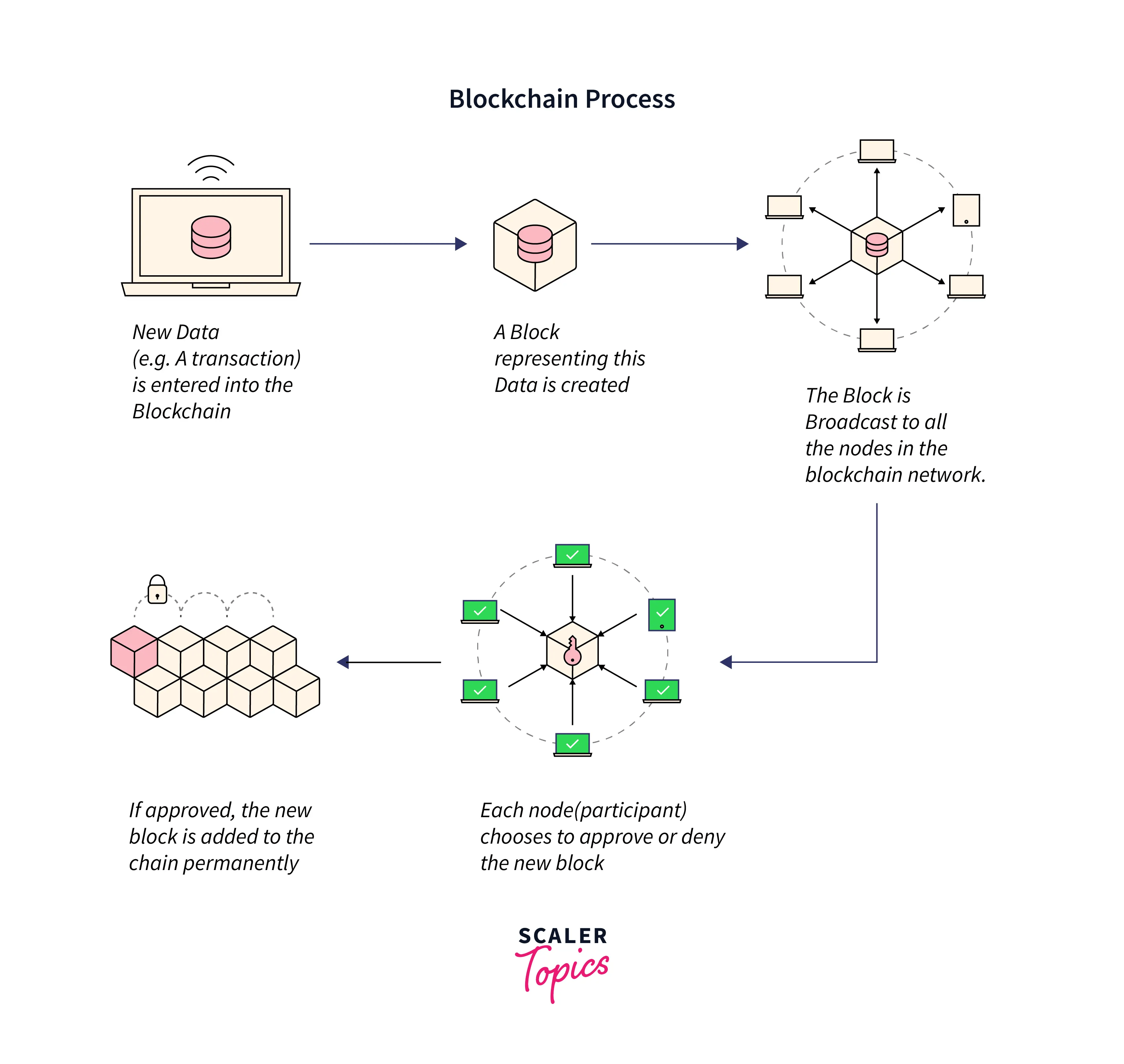 How to a Blockchain Developer? Learn StepbyStep Scaler Topics