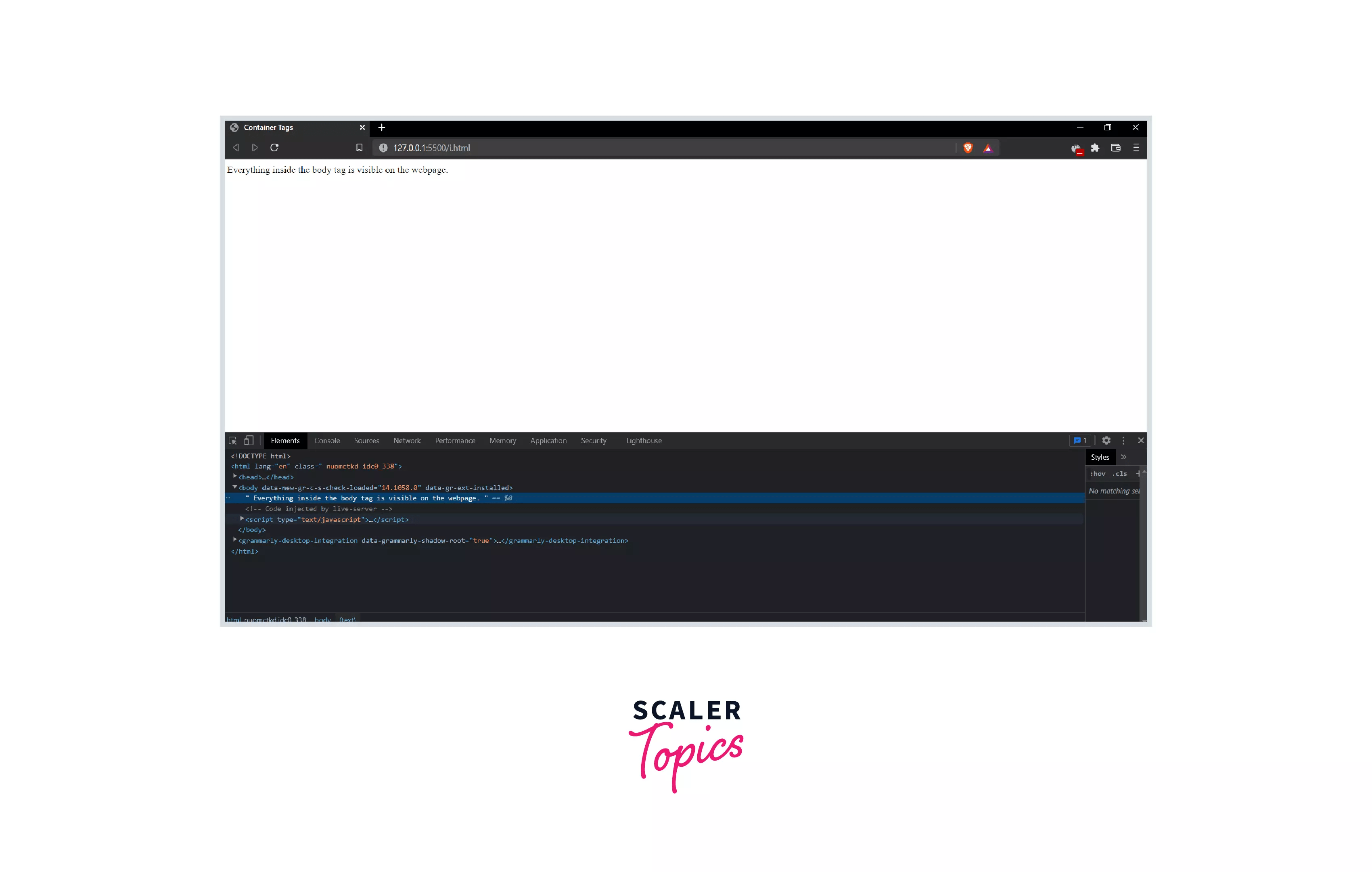 Container Tags in HTML Scaler Topics