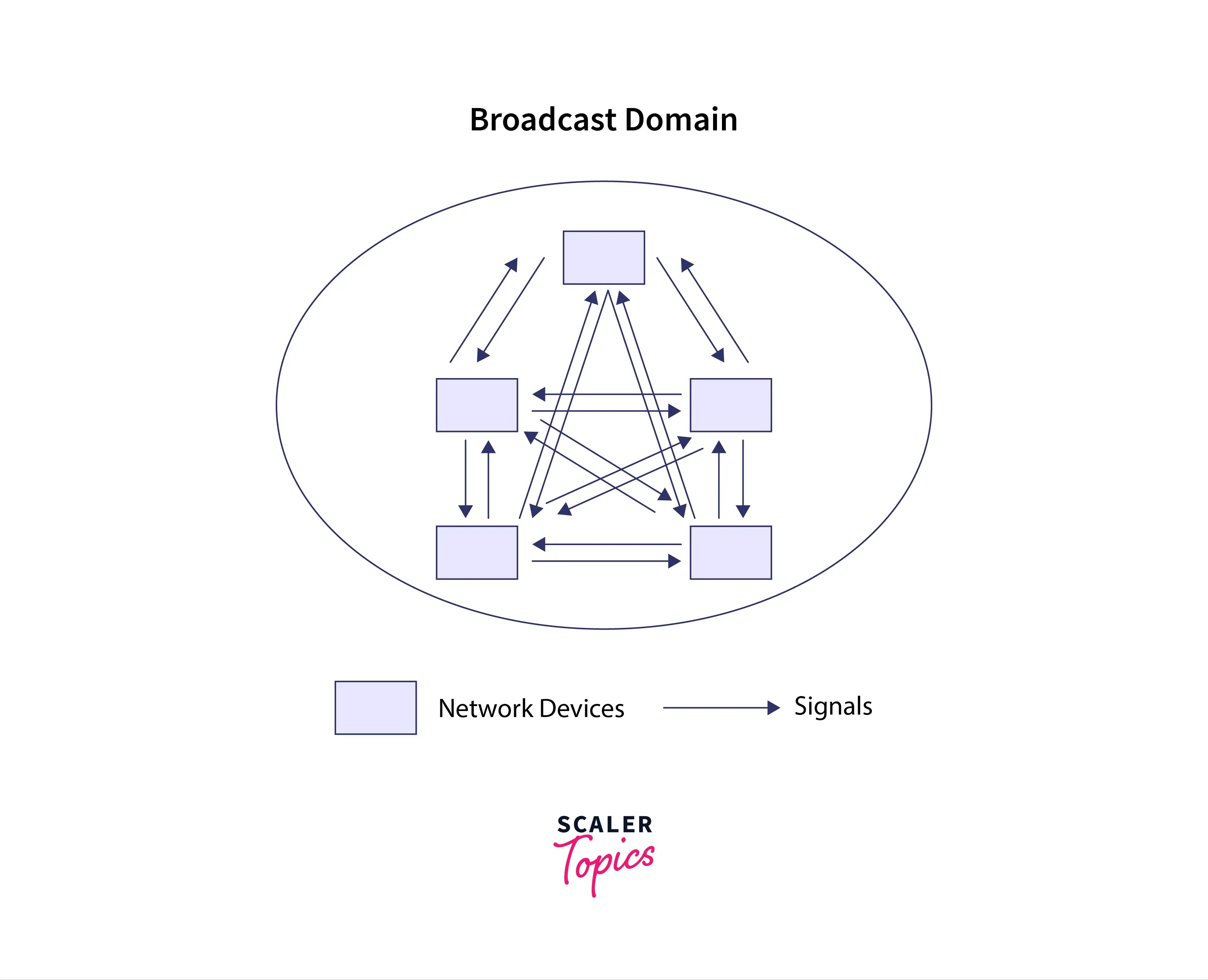 Collision Domain and Broadcast Domain Scaler Topics