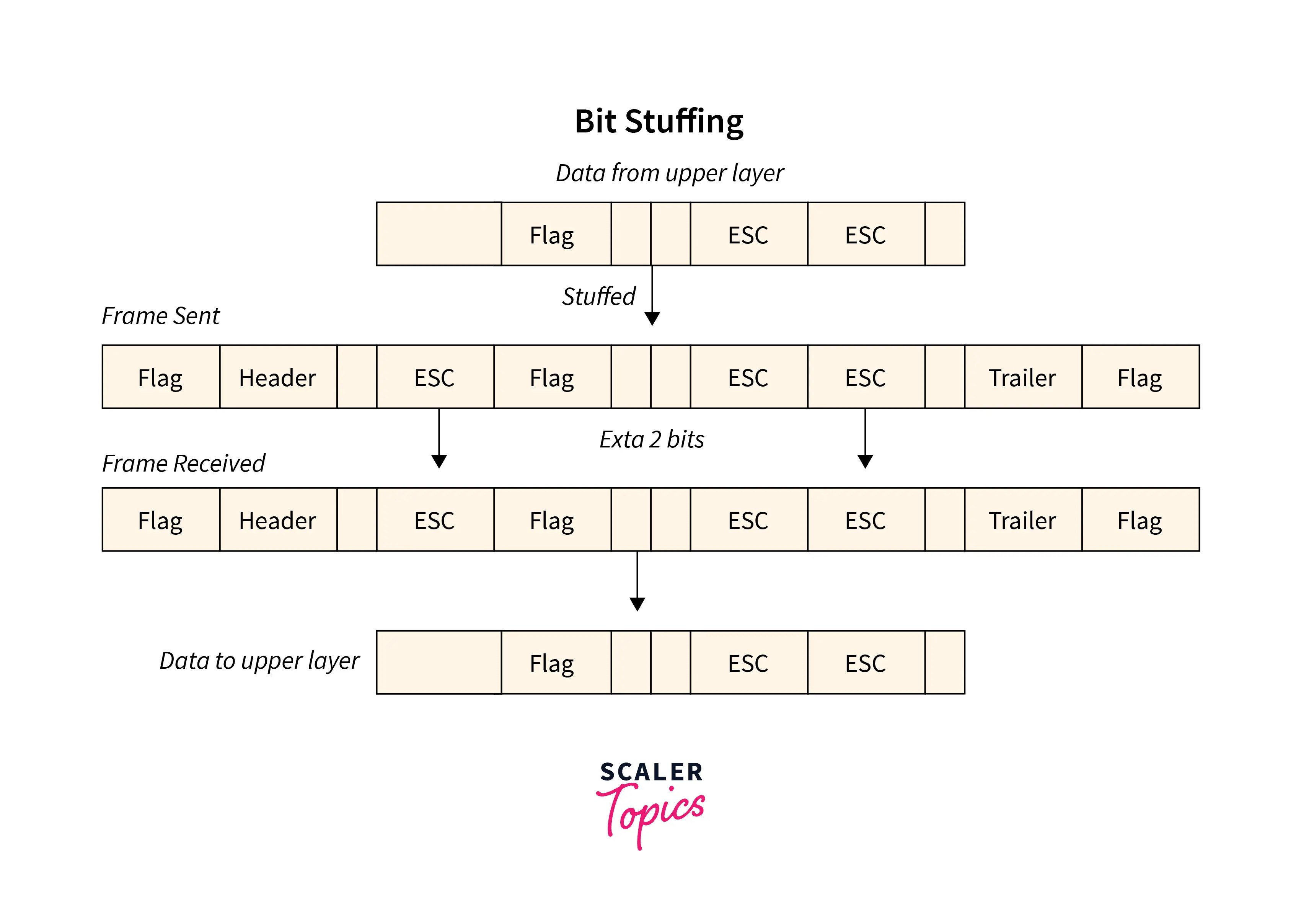 Framing in Data Link Layer Scaler Topics