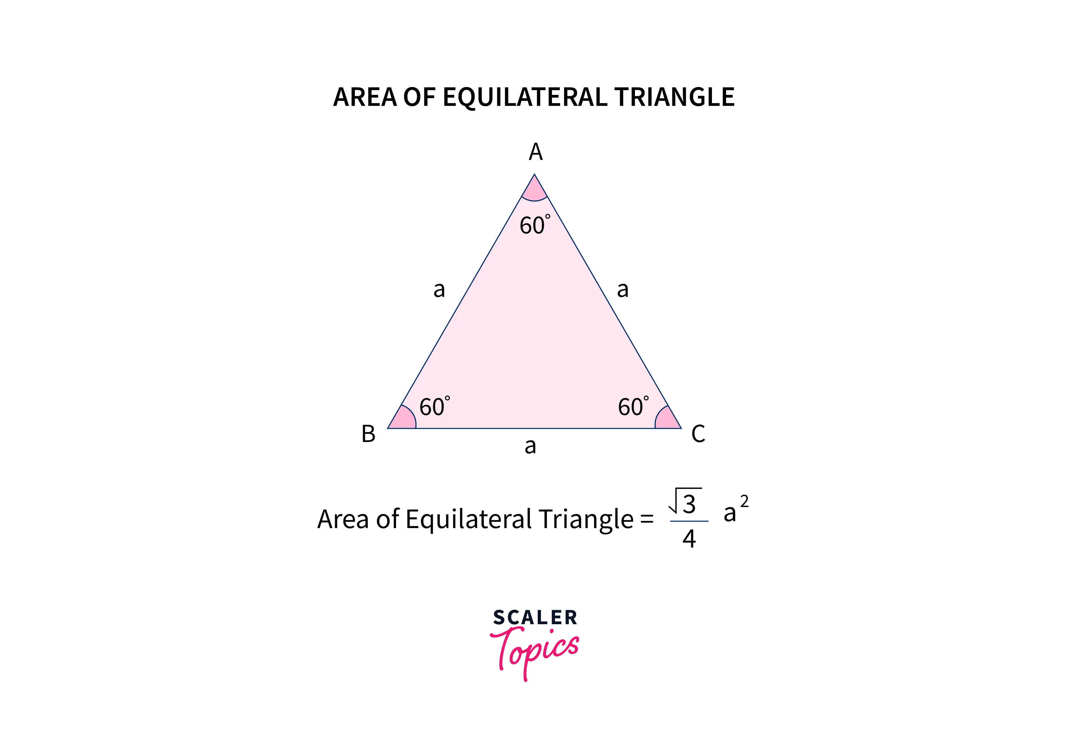 C Program to Find Area of Triangle - Scaler Topics