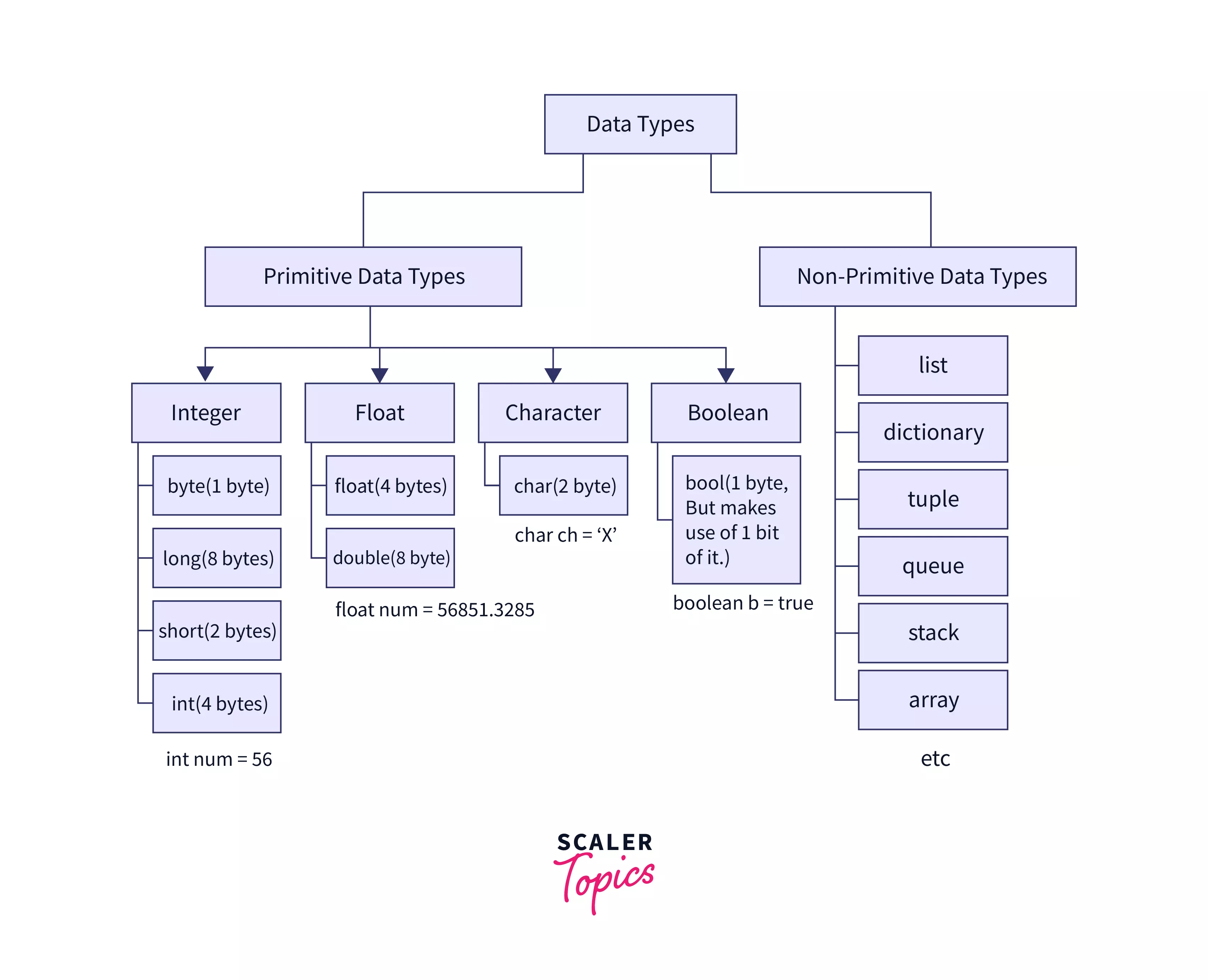 Primitive Data Structure Scaler Topics